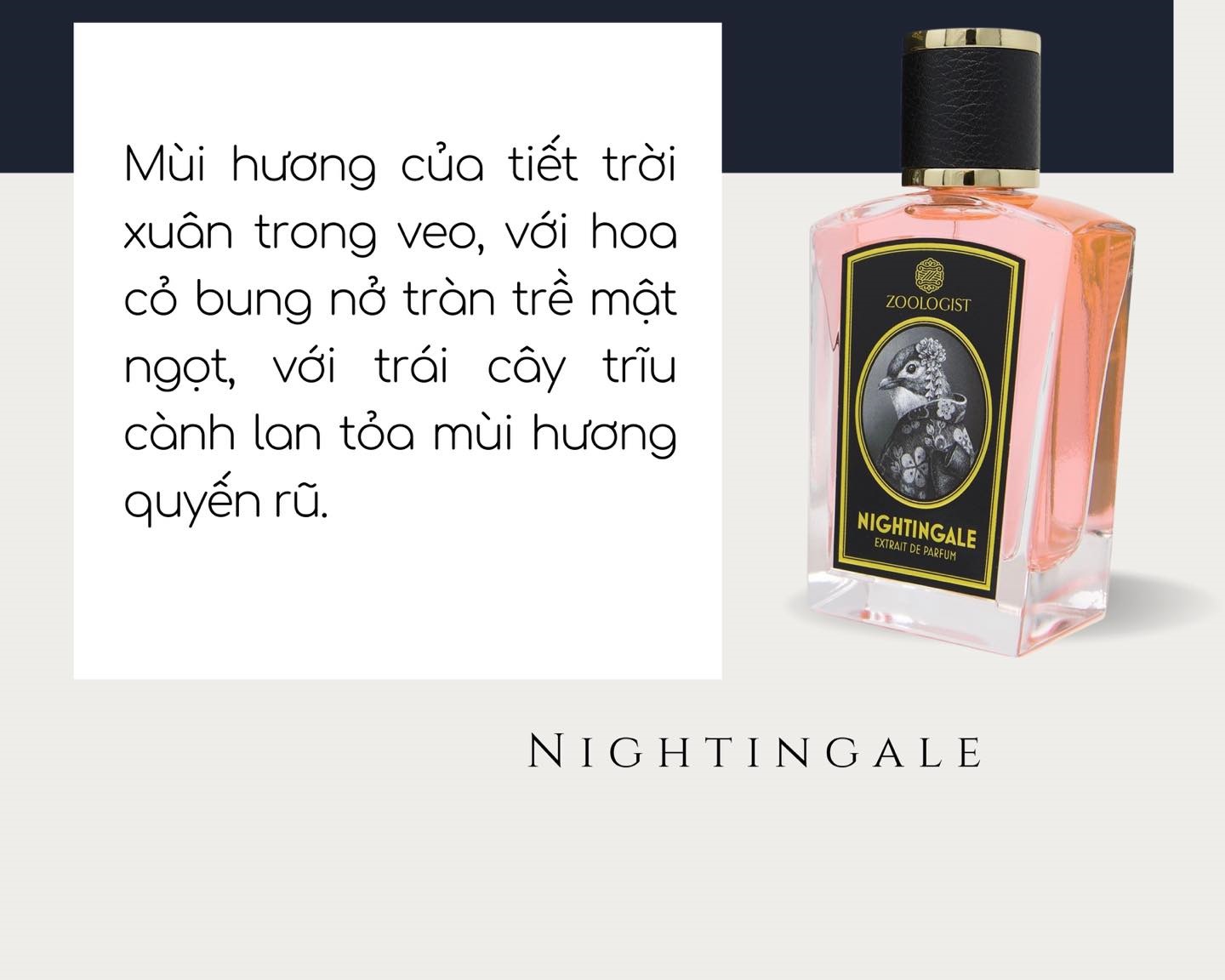 5 mui huong buoc ngoat cua nuoc hoa niche 908 2