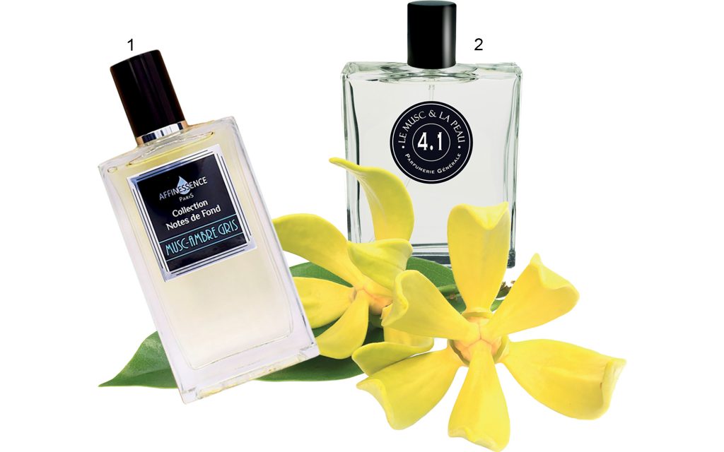 thuong nho xa huong tinh tuom 899